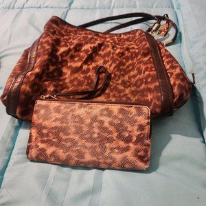 Coach Animal Print